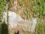 image of grave number 662801